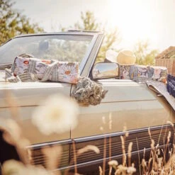 Picknickdecke L 175 X B 154cm BETWEEN FLOWERS In Dunkelblau 19 Picknickdecke L 175 X B 154cm BETWEEN FLOWERS In Dunkelblau -Dekoration Verkäufe butlers picknickdecke l 175 x b 154cm between flowers in dunkelblau 9